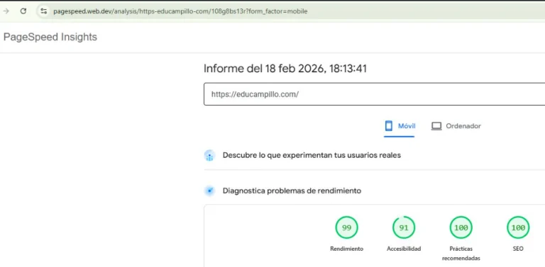 resultado de 99 en el rendimiento de los core web vitals de page speed para educampillo.com tras un trabajo de wpo